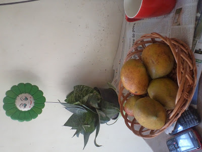 Mango Season Bangalore